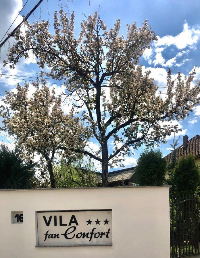Vila Fan Confort Vişeu de Sus Esterno foto