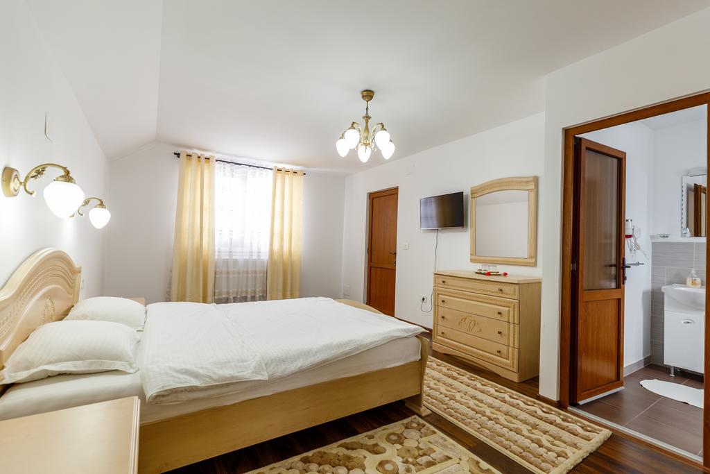 Vila Fan Confort Vişeu de Sus Esterno foto