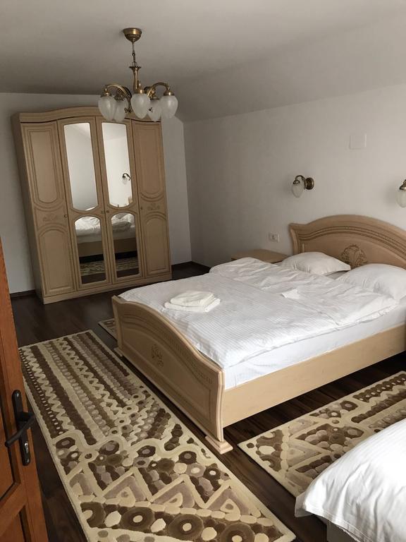 Vila Fan Confort Vişeu de Sus Esterno foto