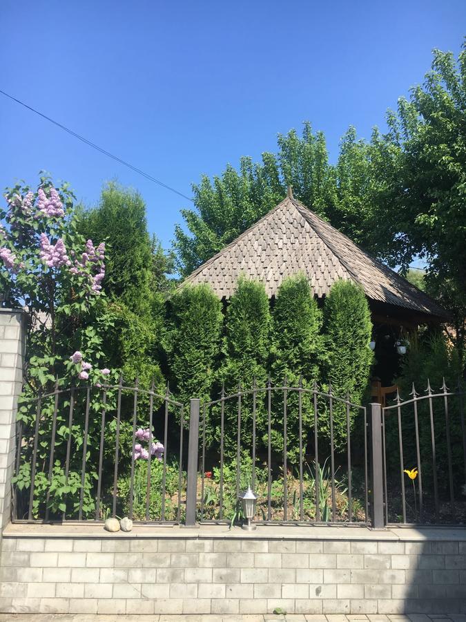 Vila Fan Confort Vişeu de Sus Esterno foto
