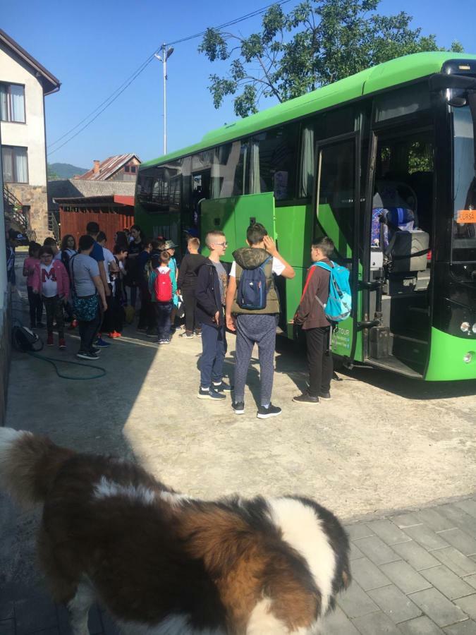Vila Fan Confort Vişeu de Sus Esterno foto