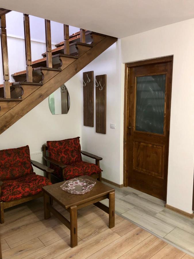 Vila Fan Confort Vişeu de Sus Esterno foto