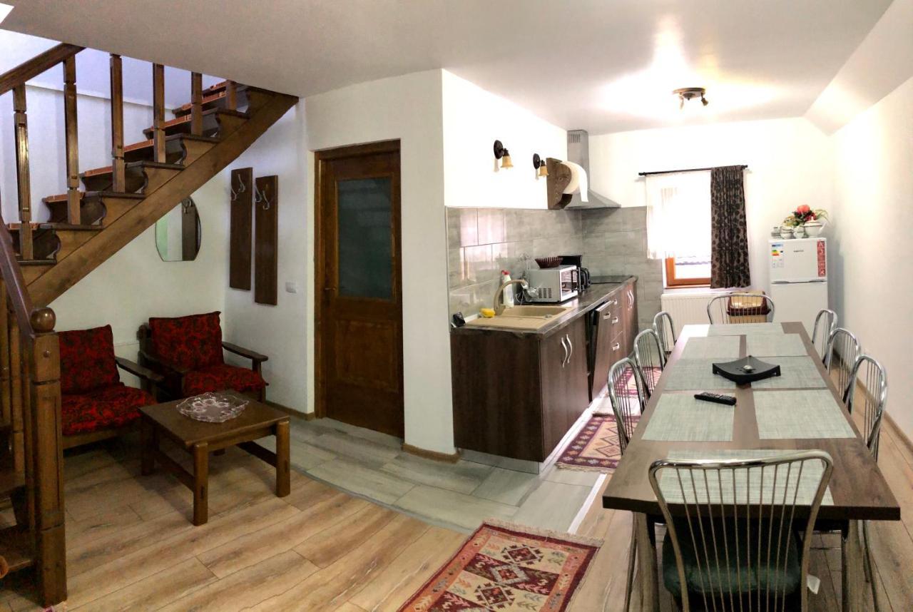 Vila Fan Confort Vişeu de Sus Esterno foto